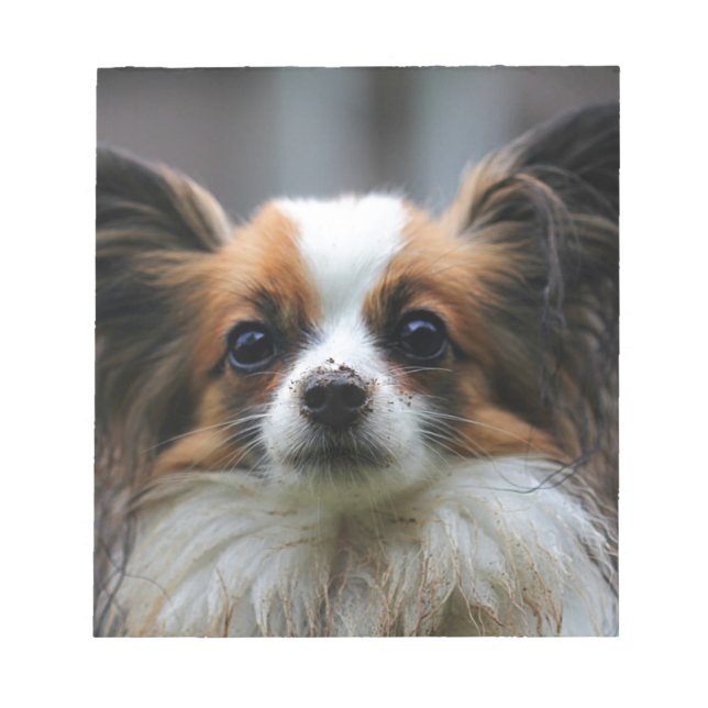 Cute papillon dog notepad (Front)