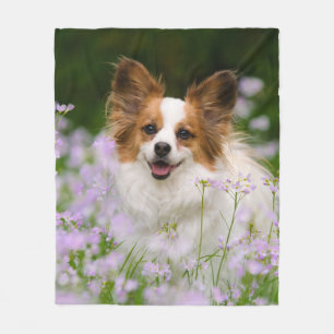 Cute Papillon Spaniel Head Photo for Dog Lovers -- Fleece Blanket