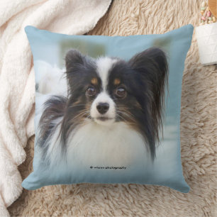 Cute Papillon Toy Spaniel Dog at the Dock Cushion
