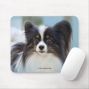 Cute Papillon Toy Spaniel Dog at the Dock Mouse Mat