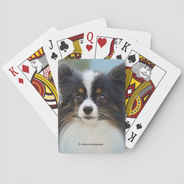 Cute Papillon Toy Spaniel Dog at the Dock Playing Cards (Back)