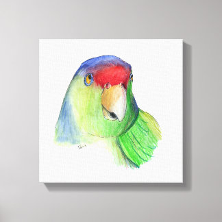 cute parakeet canvas print