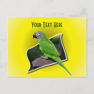 Cute Parrot Animal Customisable Postcard