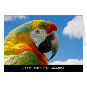 Cute Parrot Birthday Card