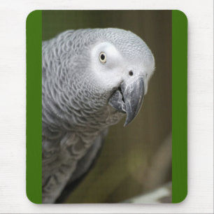 cute parrot mouse mat