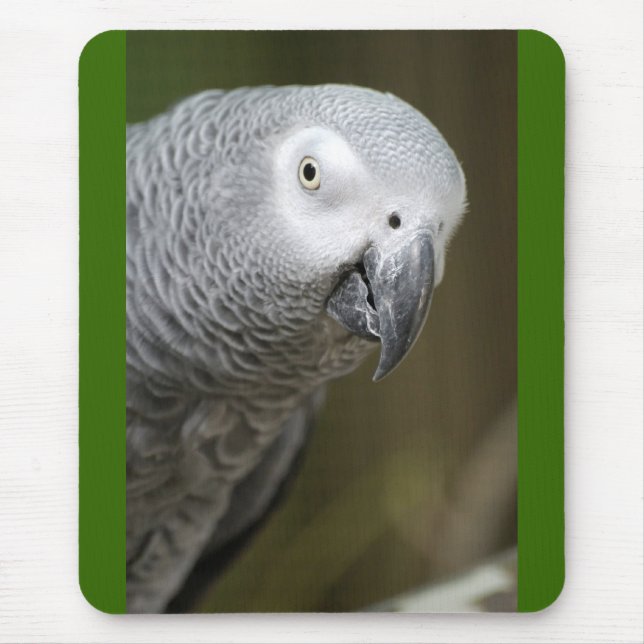 cute parrot mouse mat (Front)