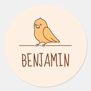 Cute Parrot Parakeet Pet Bird Custom Name Classic Round Sticker