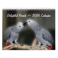 Cute Parrots 