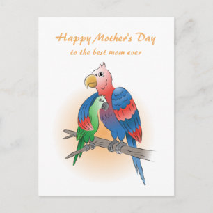 Cute Parrots Mother's Day Holiday Postcard