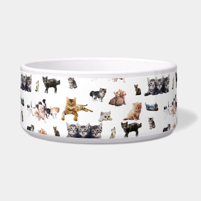 Cute pattern with photographs of Cats and kittens (Front)
