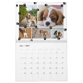 Cute Paw Prints Photo Collage Pets Calendar