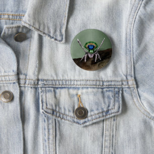 Cute Peacock Spider Digital Art 6 Cm Round Badge