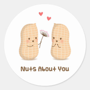 Cute Peanuts Nuts About You Pun Love Humour Classic Round Sticker