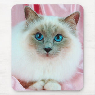 Cute Pedigree Cat Mouse Mat