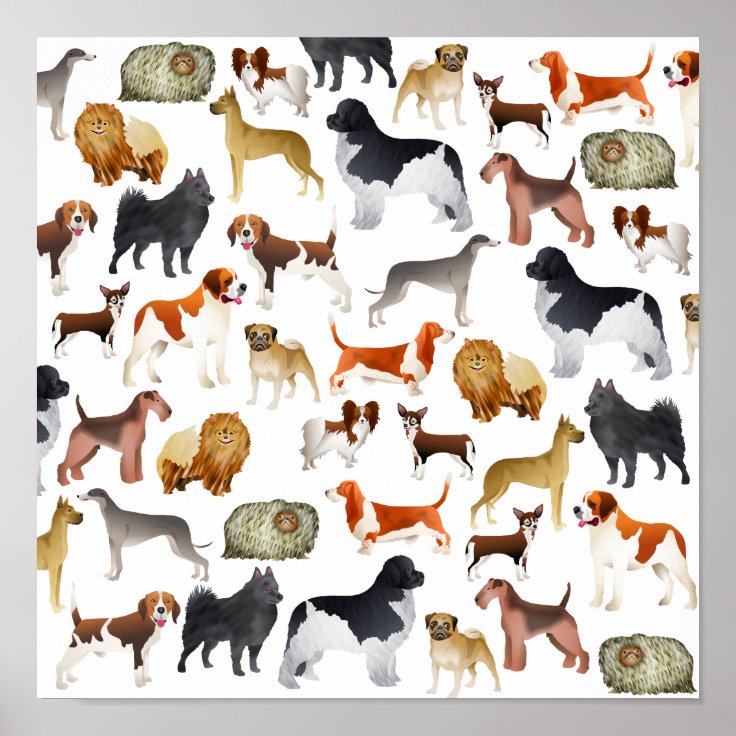 Free Cartoon Dog Wallpaper Downloads 100 Cartoon Dog Wallpapers for  FREE  Wallpaperscom