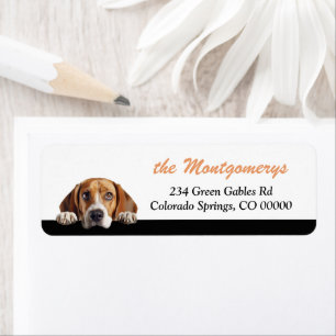Cute Peeking Beagle Dog Return Address