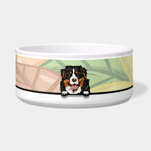 Cute Peeking Bernese, food or drink