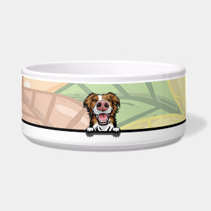Cute Peeking Border Collie, food or drink