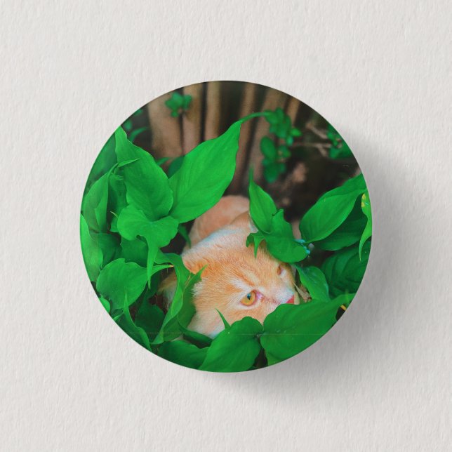 Cute peeking cat phot print 3 cm round badge (Front)