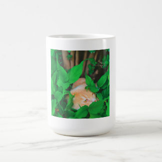 Cute peeking cat phot print coffee mug