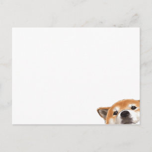 Cute Peeking Dog Postcard