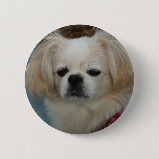 cute Pekingese 6 Cm Round Badge (Front)