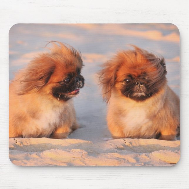 Cute Pekingese Dogs Mouse Mat (Front)