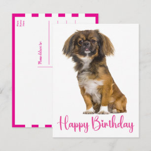 Cute Pekingest Birthday Puppy Dog Bday  Postcard