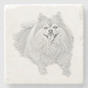 Cute Pencil Pomeranian Marble Coaster