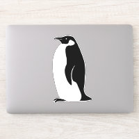 Cute Penguin
