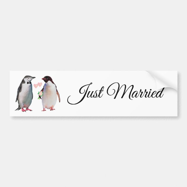 Cute Penguin Couple Just Married Bumper Sticker (Front)