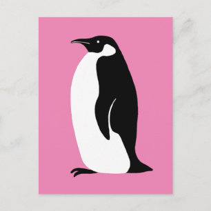 Cute Penguin Pink Black White Postcard