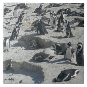 Cute Penguins on Beach Ceramic Tile