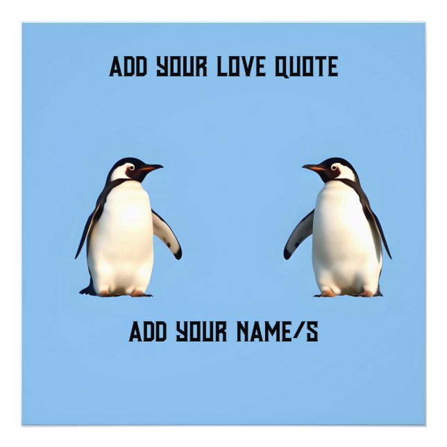 Cute Penguins  Photo Print (Front)
