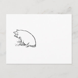 Cute Perky Pig Cartoon, Farm Animal Ink Sketch Postcard