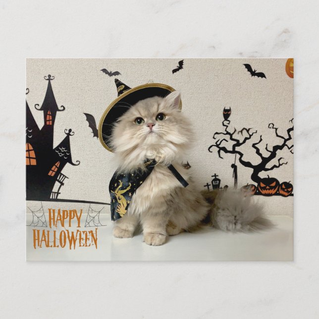 Cute Persian Cat in Halloween Costume  Holiday Postcard (Front)