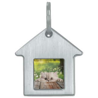 Cute Persian Peeking Cat Pet ID Tag