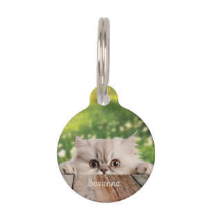Cute Persian Peeking Cat  Pet Tag