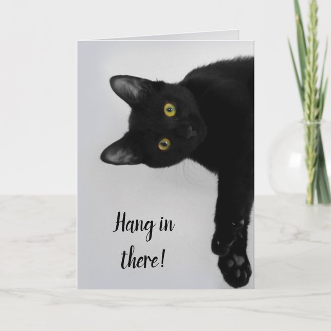 Cute Personalised Black Cat  Get Well Card (Front)