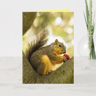 Cute Personalised Customisable Squirrel Card