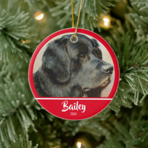 Cute Personalised Dog Photo Ceramic Tree Decoration
