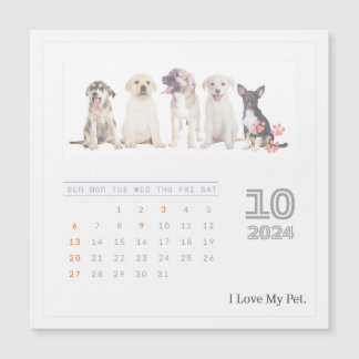 Cute Personalised Pet Lovers 2024 Photo Calendar