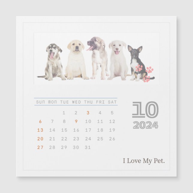 Cute Personalised Pet Lovers 2024 Photo Calendar (Front)
