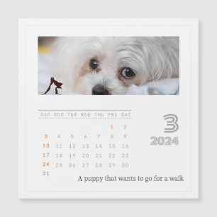 Cute Personalised Pet Lovers 2024 Photo Calendar