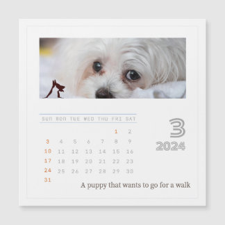 Cute Personalised Pet Lovers 2024 Photo Calendar