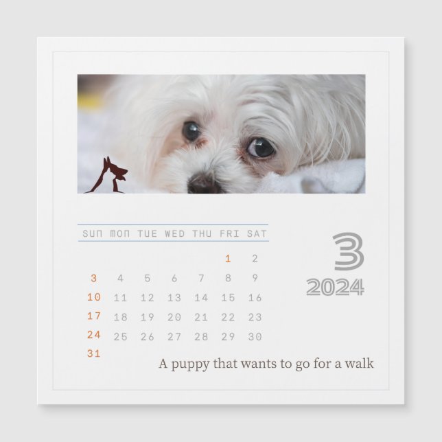 Cute Personalised Pet Lovers 2024 Photo Calendar (Front)