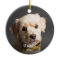Cute Personalised Photo Pet Christmas