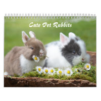Cute Pet Bunny Rabbits