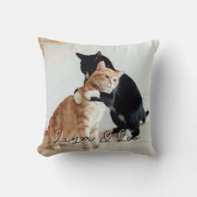 Cute Pet Cat Friendship Love Photo