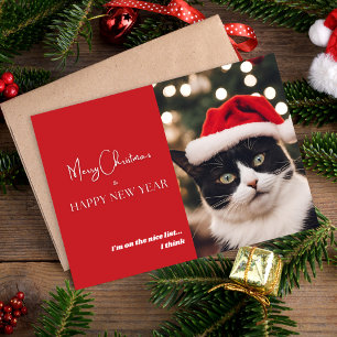 Cute Pet Cat Holiday Card